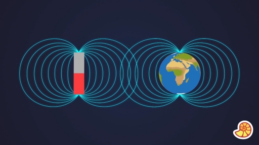 The Earth’s Magnetic Field 