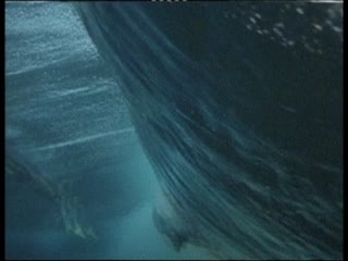 Cool Underwater Bodyboarding