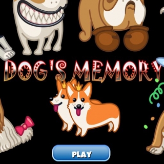 Dog Memory