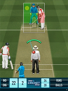 Cricket Pro 2018