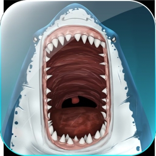 Gefährlicher Hai-Byte