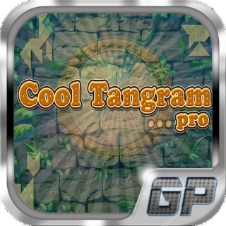 Cooles Tangram Pro