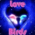 Liebe Vögel