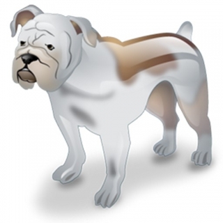Hund 3D Bulldogge