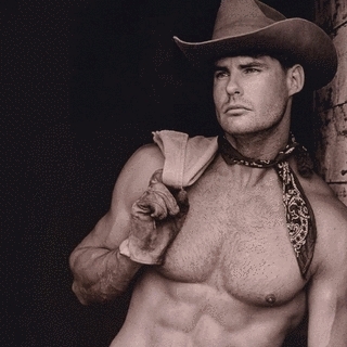 Working Cowboy Stud