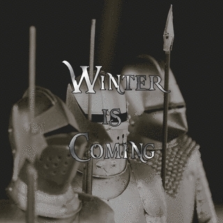 Winter Is Coming Armor