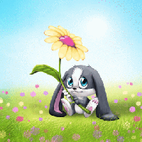 Orelhinhas com uma flor