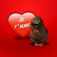 Je t'aime