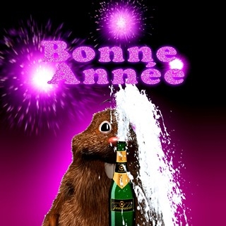 I heart Mauli Bonne Annee