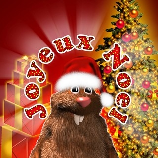 I heart Mauli Joyeux Noel