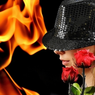 Fire Rose Flower