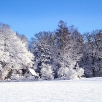 Winterlandschaft