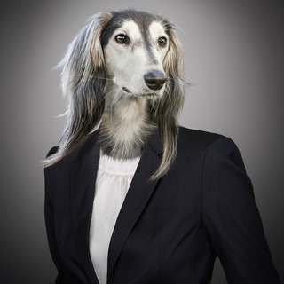 Business Saluki