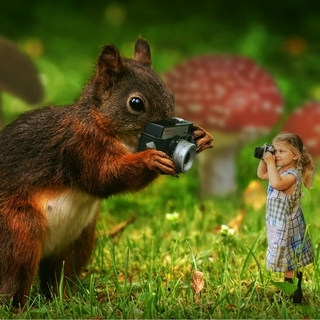 Squirrel Photographer