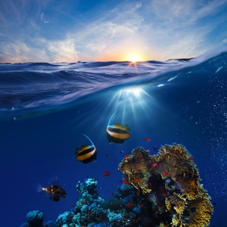 Sunset skylight above underwater reef
