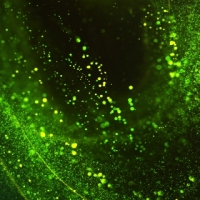 Green Particle Swirl