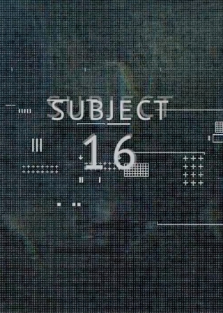 Subject 16
