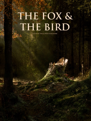 The Fox and The Bird
