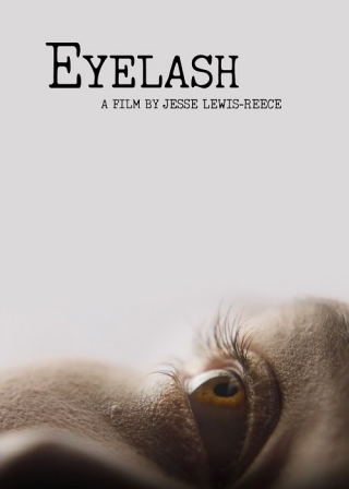 Eyelash