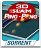 3D Slam Ping Pong