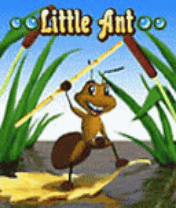 Little Ant