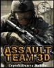 Assault Team 3D