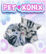 Pet Xonix