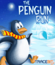 Penguin Run