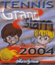 Tennis Grand Slam 2004