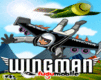 Flügelmann