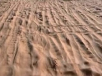 Die Rückkehr Des Quadvaters