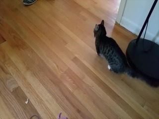 Kommunikation mit BUB