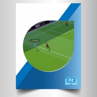 Football Manager 2018 Foul Play