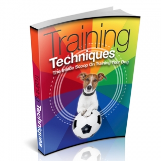 Dog Training Techniques