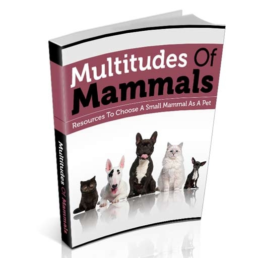 Multitudes Of Mammals