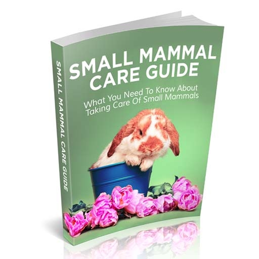 Small Mammal Care Guide