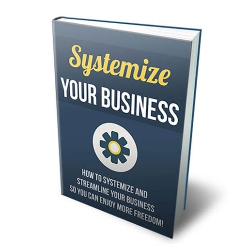 Systemize Your Business