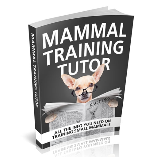 Mammal Training Tutor