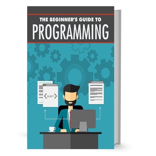 The Beginner's Guide To Programming