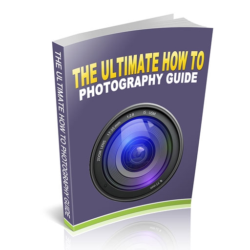 The Ultimate How To Photography Guide