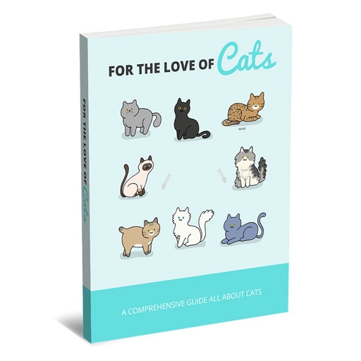 For The Love Of Cats