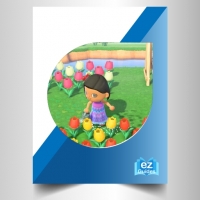 Animal Crossing New Horizons - Networking