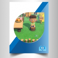 Animal Crossing New Horizons - The Inventory