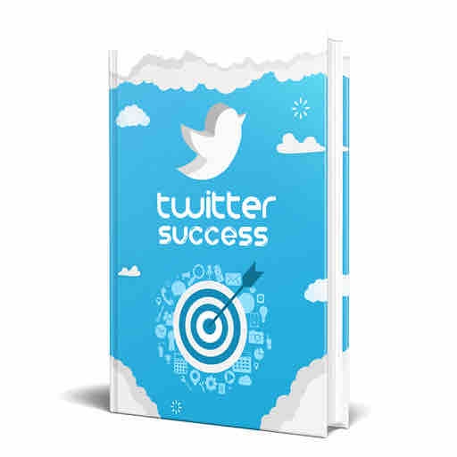 Twitter Success