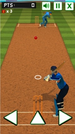 Batter Challenge Cricket