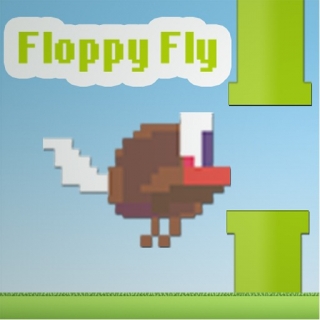 Le vol Floppy