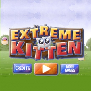 Extreme gatinhos