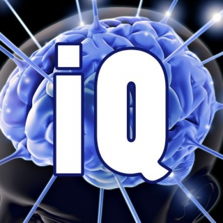 IQ Test For Browser