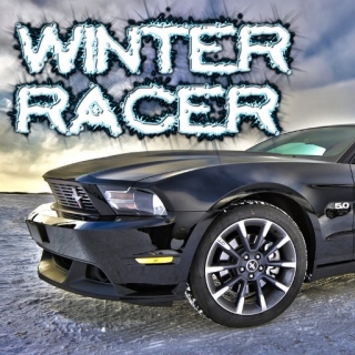 Winter Racer