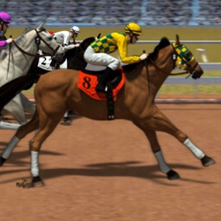Horse Racing